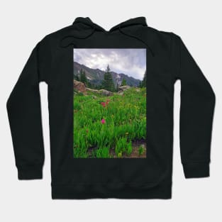 High Alpine Wildflowers Hoodie